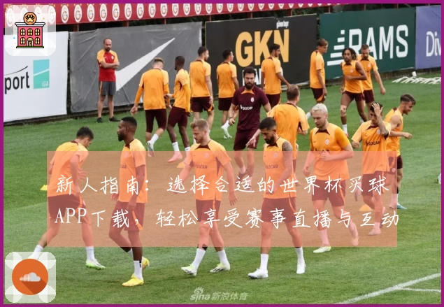 新人指南：选择合适的世界杯买球APP下载，轻松享受赛事直播与互动体验