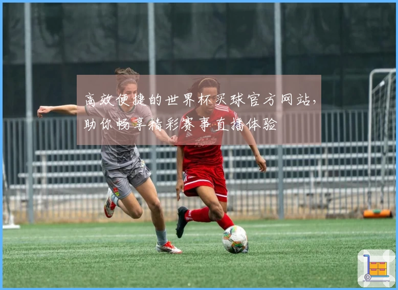 高效便捷的世界杯买球官方网站，助你畅享精彩赛事直播体验