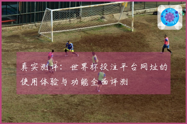 真实测评：世界杯投注平台网址的使用体验与功能全面评测