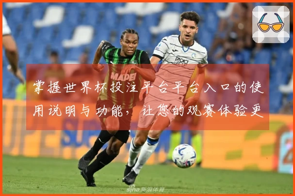 掌握世界杯投注平台平台入口的使用说明与功能，让您的观赛体验更完美