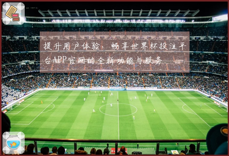 提升用户体验，畅享世界杯投注平台APP官网的全新功能与服务