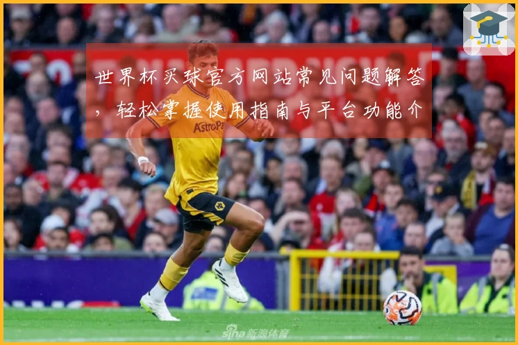 世界杯买球官方网站常见问题解答，轻松掌握使用指南与平台功能介绍