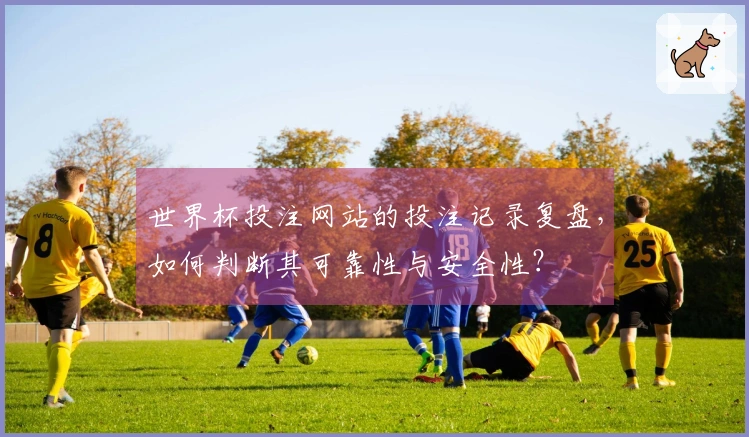 世界杯投注网站的投注记录复盘，如何判断其可靠性与安全性？
