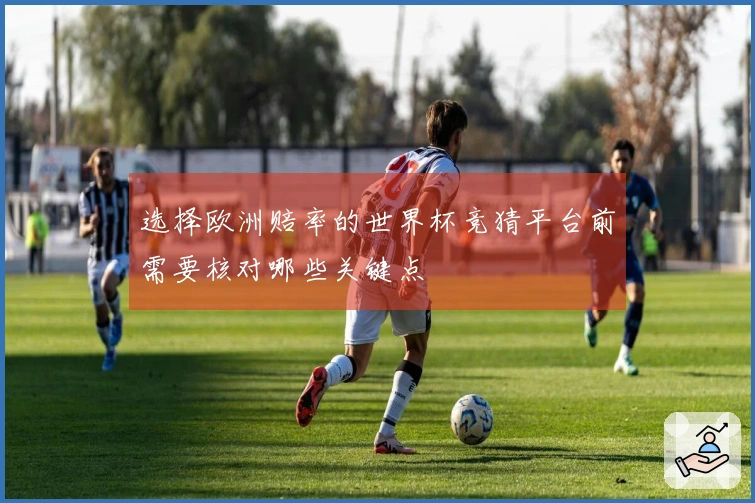 选择欧洲赔率的世界杯竞猜平台前需要核对哪些关键点