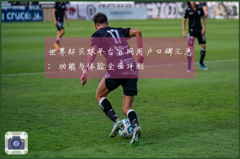 世界杯买球平台官网用户口碑汇总：功能与体验全面评测