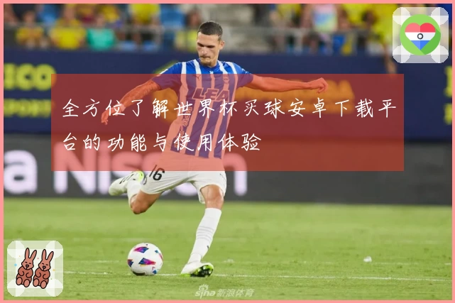 全方位了解世界杯买球安卓下载平台的功能与使用体验