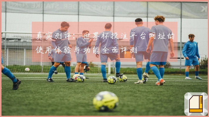 真实测评：世界杯投注平台网址的使用体验与功能全面评测