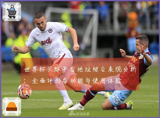 世界杯买球平台地址综合表现分析：全面评测各功能与使用体验