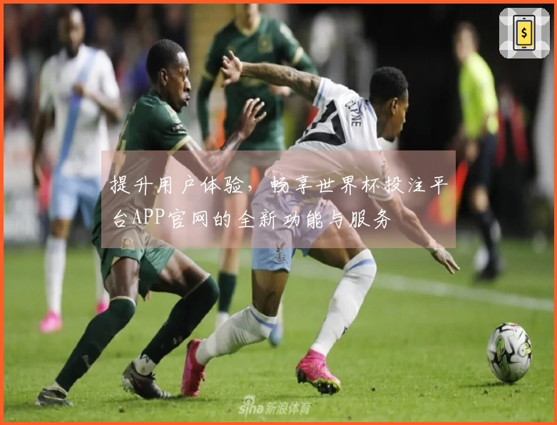 提升用户体验，畅享世界杯投注平台APP官网的全新功能与服务