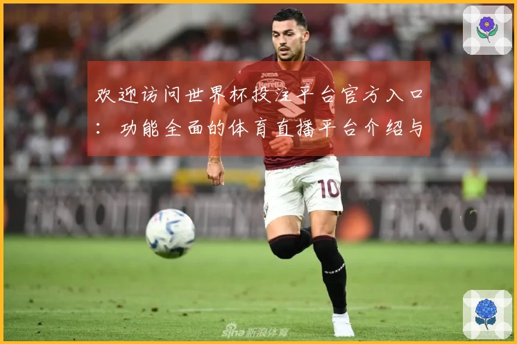 欢迎访问世界杯投注平台官方入口：功能全面的体育直播平台介绍与使用指南