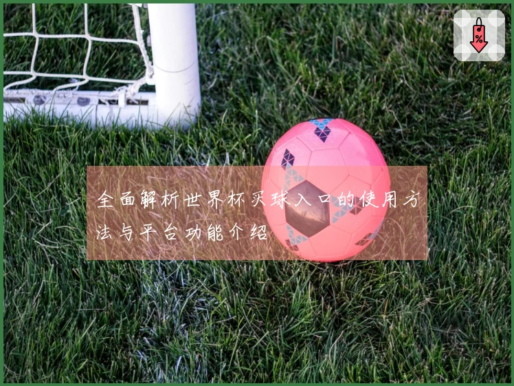 全面解析世界杯买球入口的使用方法与平台功能介绍