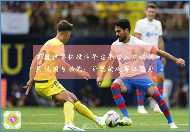 掌握世界杯投注平台平台入口的使用说明与功能，让您的观赛体验更完美