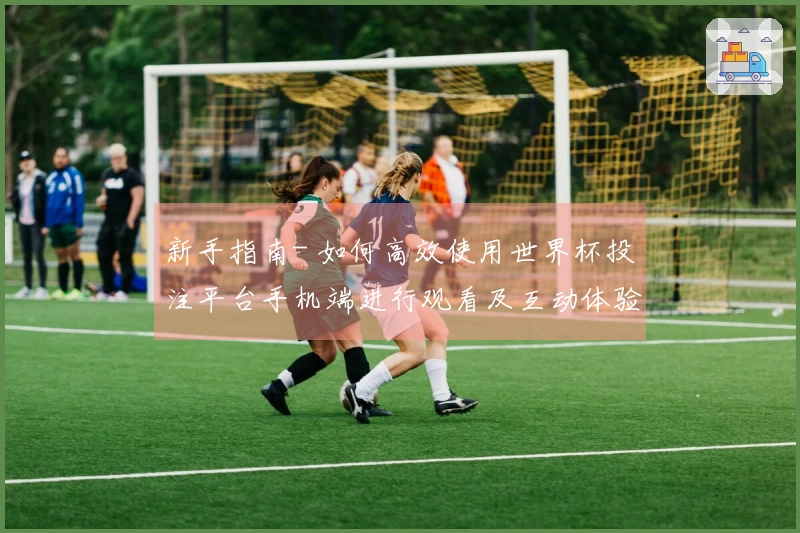 新手指南- 如何高效使用世界杯投注平台手机端进行观看及互动体验