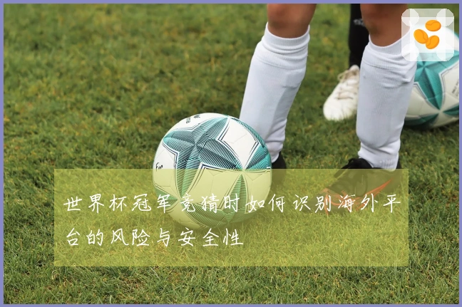 世界杯冠军竞猜时如何识别海外平台的风险与安全性