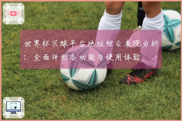 世界杯买球平台地址综合表现分析：全面评测各功能与使用体验