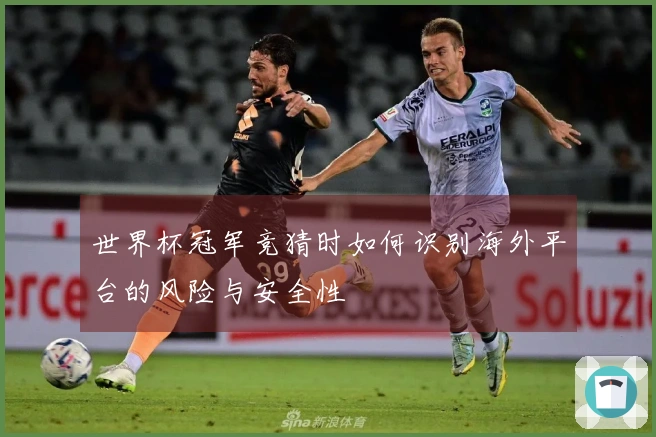 世界杯冠军竞猜时如何识别海外平台的风险与安全性